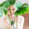 Certain houseplants