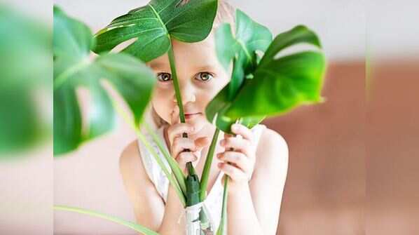 Certain houseplants