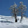 Article image for: Tourism revives in Kashmir Valley