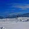 Article image for: Tourism revives in Kashmir Valley
