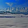 Article image for: Tourism revives in Kashmir Valley