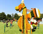 49th Rose Festival begins in Chandigarh