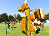 49th Rose Festival begins in Chandigarh