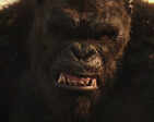 Godzilla vs. Kong