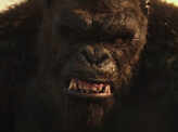 Godzilla vs. Kong
