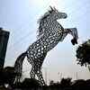 A horse is worth more than riches!
