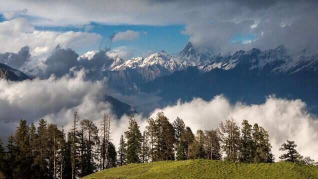 Japan&rsquo;s forest bathing concept comes to the Indian Himalayas in Uttarakhand