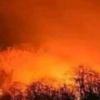 Article image for: For weeks, massive flames have engulfed the <i class="tbold">similipal tiger reserve</i>