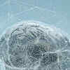 Article image for: Relax your brain