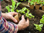 ​Naturalistic intelligence