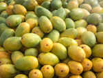 ​How many mangoes can you have in a day?