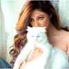 Reyhna Pandit: When you don’t plan things, you are happy