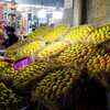 Article image for: <i class="tbold">alphonso</i> arrives in Mumbai