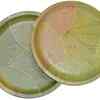 SWHF Bio Degradable Disposable Leaf Plates