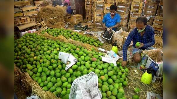 Alphanso mangoes price hiked!