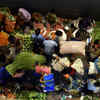 Crowded markets