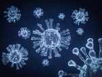 India's battle with the double mutant coronavirus mutation