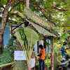 A green booth in Pizhala in Vypin constituency.
