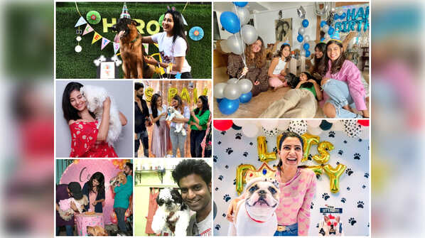 Celebs throw a 'pawty' for their pets