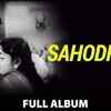 Article image for: Check Out Popular Tamil Music Audio Songs Jukebox Of 'Sahodhari' Starring K. Balaji And Devika