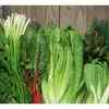 Article image for: <i class="tbold">leafy greens</i>