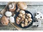 Mushrooms