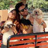 Sanjay Gagnani: My dogs can lick my face for hours