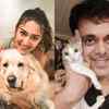 Article image for: On <i class="tbold">national pet day</i> today, celebs reveal facts about their pets