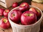 ​An apple and banana a day, will keep the dehydration away