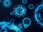​The first study