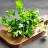 Parsley Vs Cilantro How To Tell The Difference The Times Of India