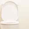 ​The toilet seat spat