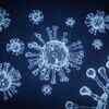What is the 'double mutant' virus?