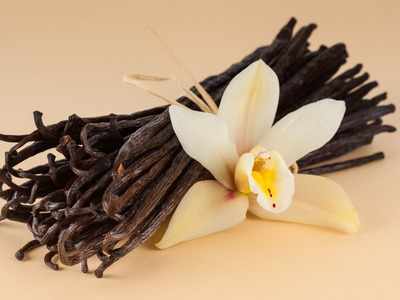 Where does vanilla flavouring come from