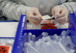 Are the newer variants slipping through COVID tests?