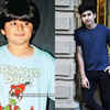 Parvarrish