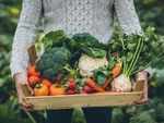 Keep diseases at bay with organic food items