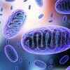 Coronavirus: Mucormycosis cases spike in COVID-19 recovered patients,  here's what we know | The Times of India