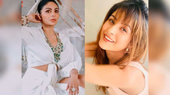 Neeru Bajwa to Shehnaaz Gill: Punjabi Stars who got equal love on the small screen