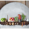 ​India’s organic advantage