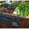 ​Decoding organic food