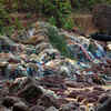 Wasted Goa beach