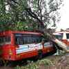 A state transport bus damaged after a tress collapsed on it at Pen bus depot in Raigad district.