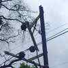 Electricity poles and cables were damaged in parts of Mumbai metropolitan region leading to power cuts in various parts of the region on Monday due to cyclone Tauktae.