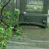 Trees uprooted, streets waterlogged in different parts of Mumbai due to heavy rain and wind. Visuals from Juhu. (ANI)