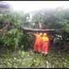 A NDRF team clears road after trees uprooted at Monte hill area near Margao, Goa, due to strong wind and rain