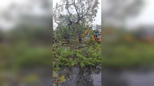 Cyclone Tauktae leaves trail of destruction in Gujarat, Maharashtra, Kerala
