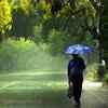 Visual from Amrita Shergill Marg