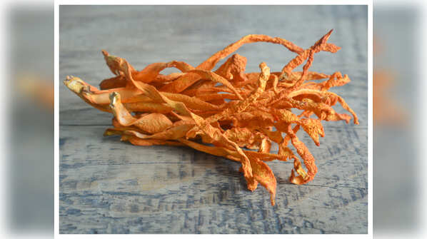 Benefits of Cordyceps Militaris