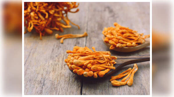 What is Cordyceps Militaris?